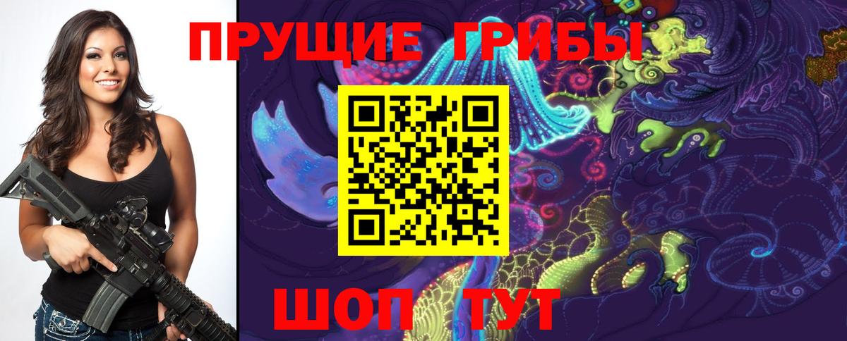 Домодедово  купить закладку  Вход с VPN  Псилоцибиновые грибы Magic Shrooms 