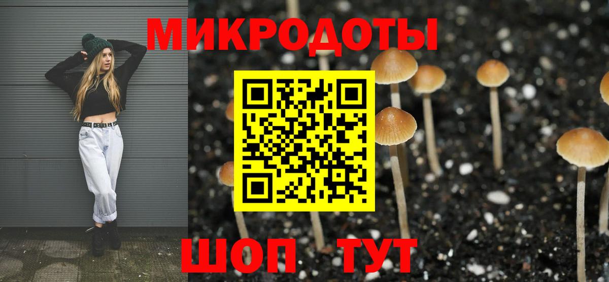 Галлюциногенные грибы мицелий Домодедово
